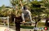 Best tricks contest