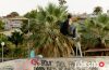 Best tricks contest