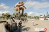 Best tricks contest
