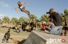 Best tricks contest