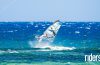 windsurf