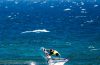 windsurf