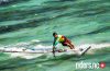 windsurf