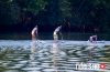 SG Cup Paddle Tour